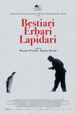 Bestiari, Erbari, Lapidari